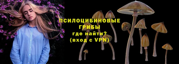 ГАЛЛЮЦИНОГЕННЫЕ ГРИБЫ Карпинск