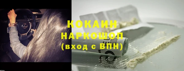 дживик Касимов