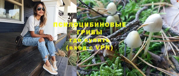 дживик Касимов