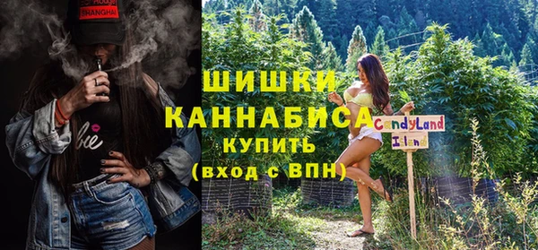 ГАЛЛЮЦИНОГЕННЫЕ ГРИБЫ Карпинск