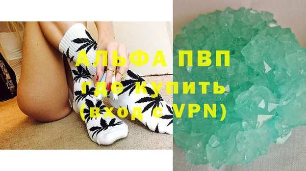 дживик Касимов