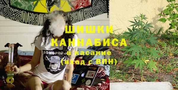 дживик Касимов