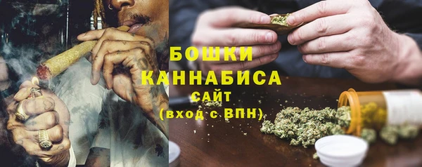 ГАЛЛЮЦИНОГЕННЫЕ ГРИБЫ Карпинск
