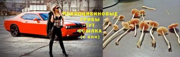 spice Карталы